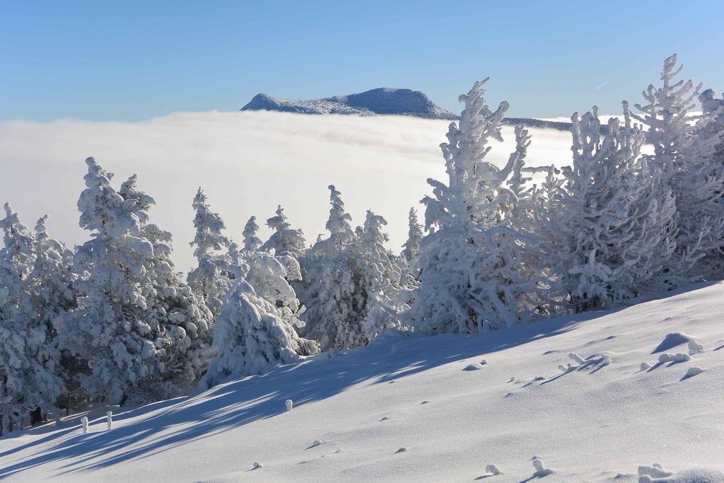 Vila Aux Pays Des Sucs Saint-Hostien Exteriér fotografie